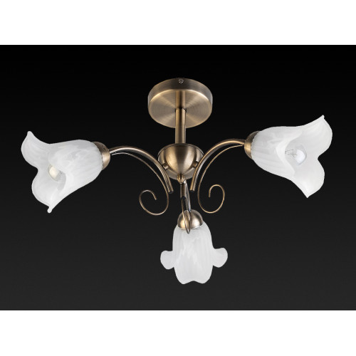 Потолочная люстра Toplight Magdalene TL3490X-03AB