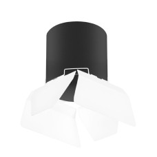 Накладной светильник Lightstar Rullo (213487+202486) R3487486