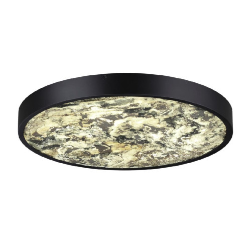 Настенно-потолочный светильник Odeon Light Bergi 5064/40L