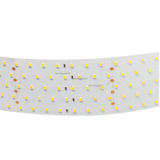 Светодиодная лента Arlight RT 2-2500 24V Day4000 5x2 (2835, 875 LED, LUX) 019081(B)