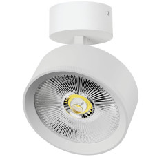 Накладной светильник Alta Pro Lightstar A5736SO