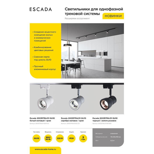 Трековый светильник Escada 20035TRA/01 BK/RGD