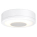 Потолочный светодиодный светильник Paulmann LightSound 92096