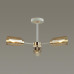Люстра на штанге Lumion Dallin 5639/3C
