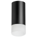 Накладной светильник Lightstar Rullo R43731 (214437+202431)