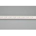 Светодиодная лента герметичная Arlight RTW-PU-A120-10.5mm 12V Cool 8K (16.8 W/m, IP68, 2835, 5m) 029595(2)