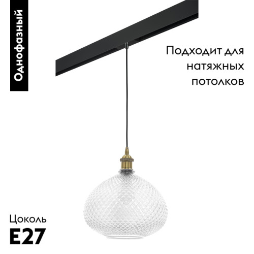 Трековый светильник Lightstar Genni PRO798031 (798031+595007)