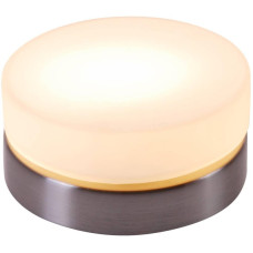 Потолочный светильник Globo Opal 48400