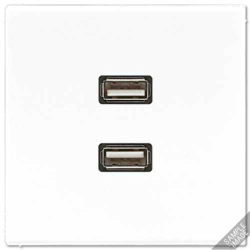 Розетка USB Jung MALS1153