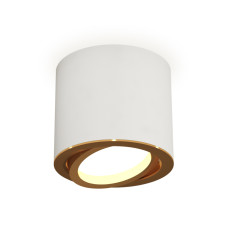 Накладной поворотный светильник Ambrella Light Techno XS7401004 (C7401, N7004)