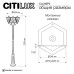 Парковый светильник Citilux Forts CLU09P3