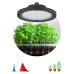 Фитопрожектор для растений Эра FITO-50W-RB-LED-UFO Б0053280