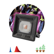 Фитопрожектор для растений Эра FITO-50W-LED-BLUERED Б0039033