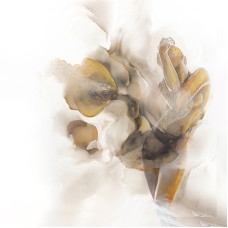 Холст Песня поющего цветка Garda Decor 89VOR-AQUARELLE6