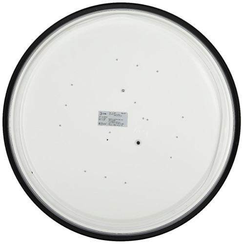 Потолочный светильник Эра Relict 48 Pult SPB-6-60-RC BK Б0059497