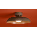 Потолочный светильник Freya Movement FR5602CL-L10BR