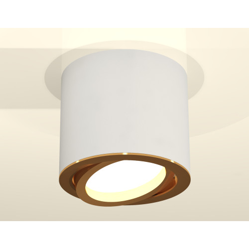 Накладной поворотный светильник Ambrella Light Techno XS7401004 (C7401, N7004)