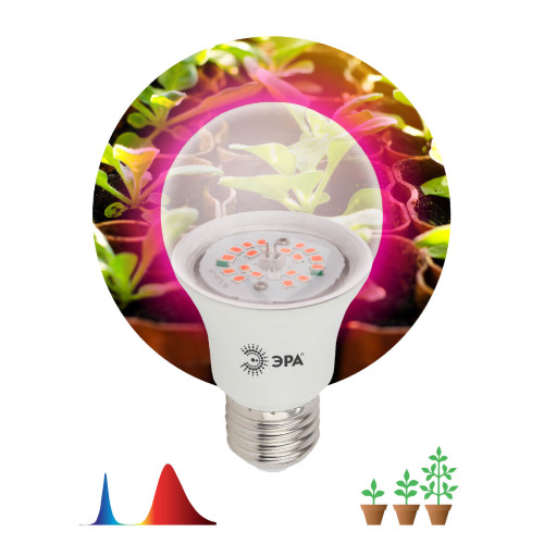 Фитолампа для растений светодиодная ЭРА E27 10W 1310K FITO-10W-RB-E27-K Б0039069