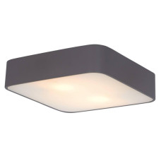 Потолочный светильник Arte Lamp Cosmopolitan A7210PL-2BK