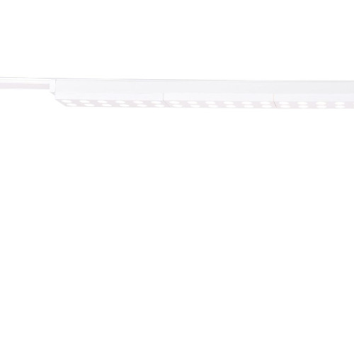Трековый магнитный светильник Favourite Unica 4140-2C