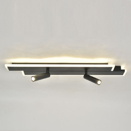 Потолочный светильник Escada 20047led 20047SMA/02LED BK