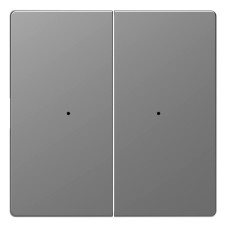 Клавиша двойная Schneider Electric Merten D-Life MTN5220-6036