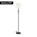 Торшер Odeon Light Sochi 4896/1F