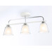 Потолочная люстра Ambrella Light Modern TR303233