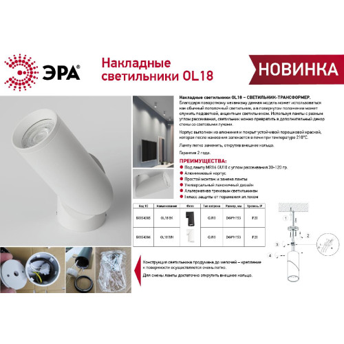 Накладной светильник Эра OL18 BK Б0054385