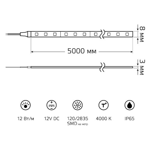 Светодиодная лента Gauss Basic 12В 2835 12Вт/м 4000K 5м IP65 BT071