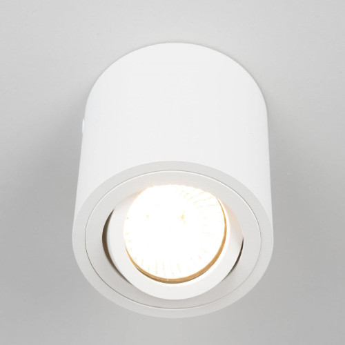 Потолочный светильник Citilux Дюрен CL538111