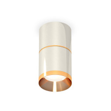 Потолочный светильник Ambrella Light Techno Spot XS7405061 (C7405, A2072, C7405, N7034)