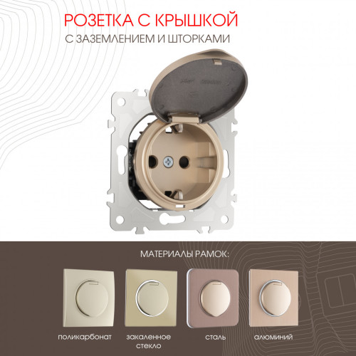 Розетка с заземлением, шторками и защитной крышкой Arte Milano 202.41-1.shampan