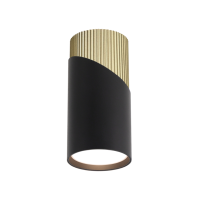Накладной светильник Wolta Dolce WSL-GU10/06BG