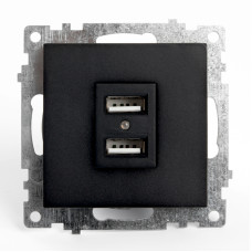 Розетка USB 2-местная Stekker Катрин 39616