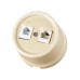 Розетка телефонная RJ11 + компьютерная RJ45 сл. кость Болонь TDM Electric SQ1820-0352
