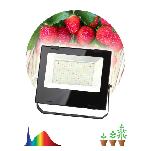 Фитопрожектор для растений ЭРА FITO-100W-Ra90-LED Б0047876