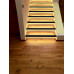 Светодиодная лента Eglo Cob Stripe 900577