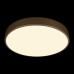 Потолочный светильник Loft IT Flims 10228/A