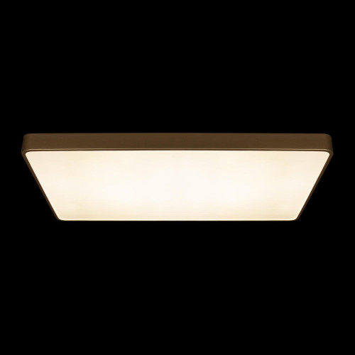 Потолочный светильник Loft IT Flims 10228/E