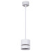 Подвесной светильник Reluce 53017-0.9-001MN GX53 WT