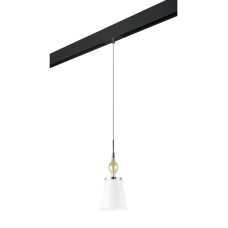 Трековый светильник Lightstar Escica PRO806010 (806010+595007)
