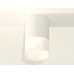 Потолочный светильник Ambrella Light Techno Spot XS7421025 (C7421, N7170)