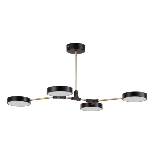 Потолочный светильник Evoluce Monta SLE6004-402-04