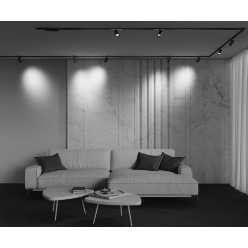 Трековый магнитный светильник Maytoni Technical Focus Led Exility X TR243-4-12WTW-DSZ-B