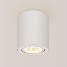 Потолочный светильник Citilux Дюрен CL538111