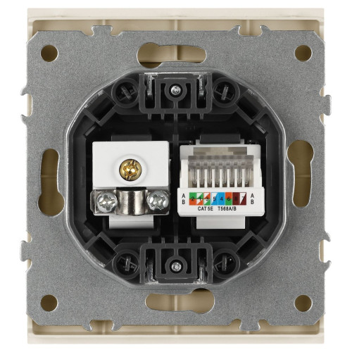 Розетка Эра Arktik 16-3110-04 комбинированная RJ45+TV шампань Б0070497