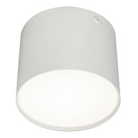 Потолочный светильник 20004 20004SMU/01LED SWH