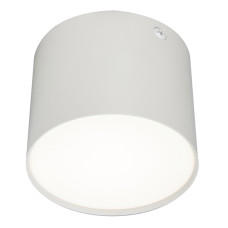 Потолочный светильник 20004 20004SMU/01LED SWH