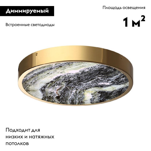 Настенно-потолочный светильник Odeon Light Bergi 5079/30L